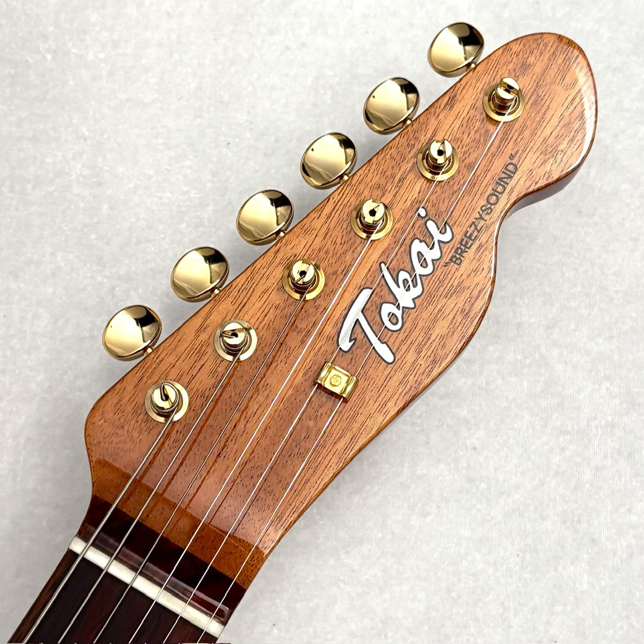 Tokai 【スポットモデル】ATE-103G NR ~Natural~ 3.65kg #260384