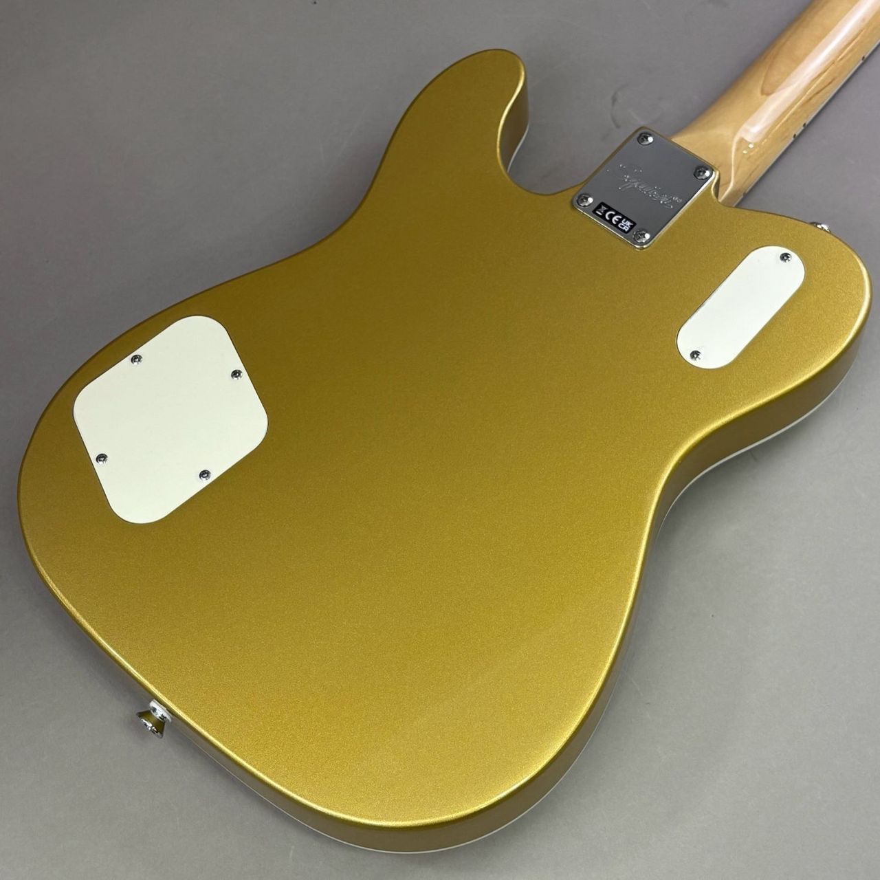 Squier by Fender Limited Edition Paranormal Troublemaker