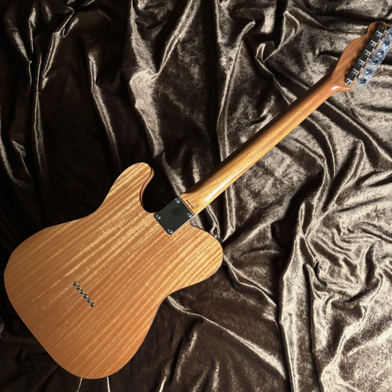 Tokai 《現物画像 / 迅速発送！》ATE103S N（新品/送料無料）【楽器