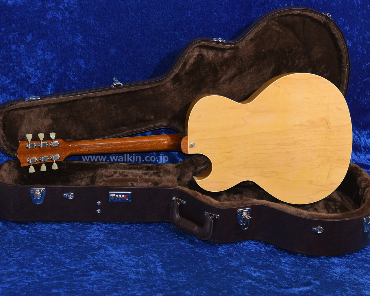 Archtop Tribute AT105 Classic（新品）【楽器検索デジマート】