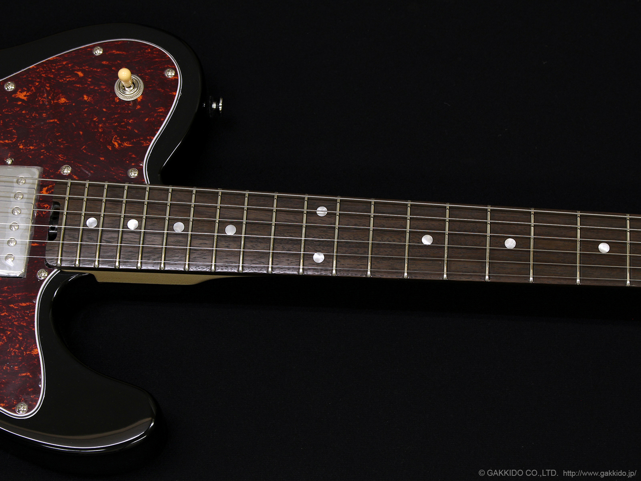 SCHECTER Japan Original Line OL-PT-CTM [Black]（新品/送料無料