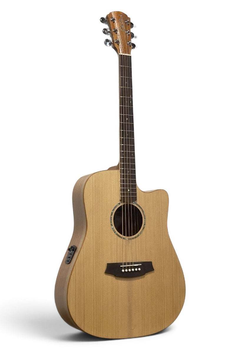 Cole Clark Studio Series CCSFL1EC-BM Bunya/Queensland Maple コール