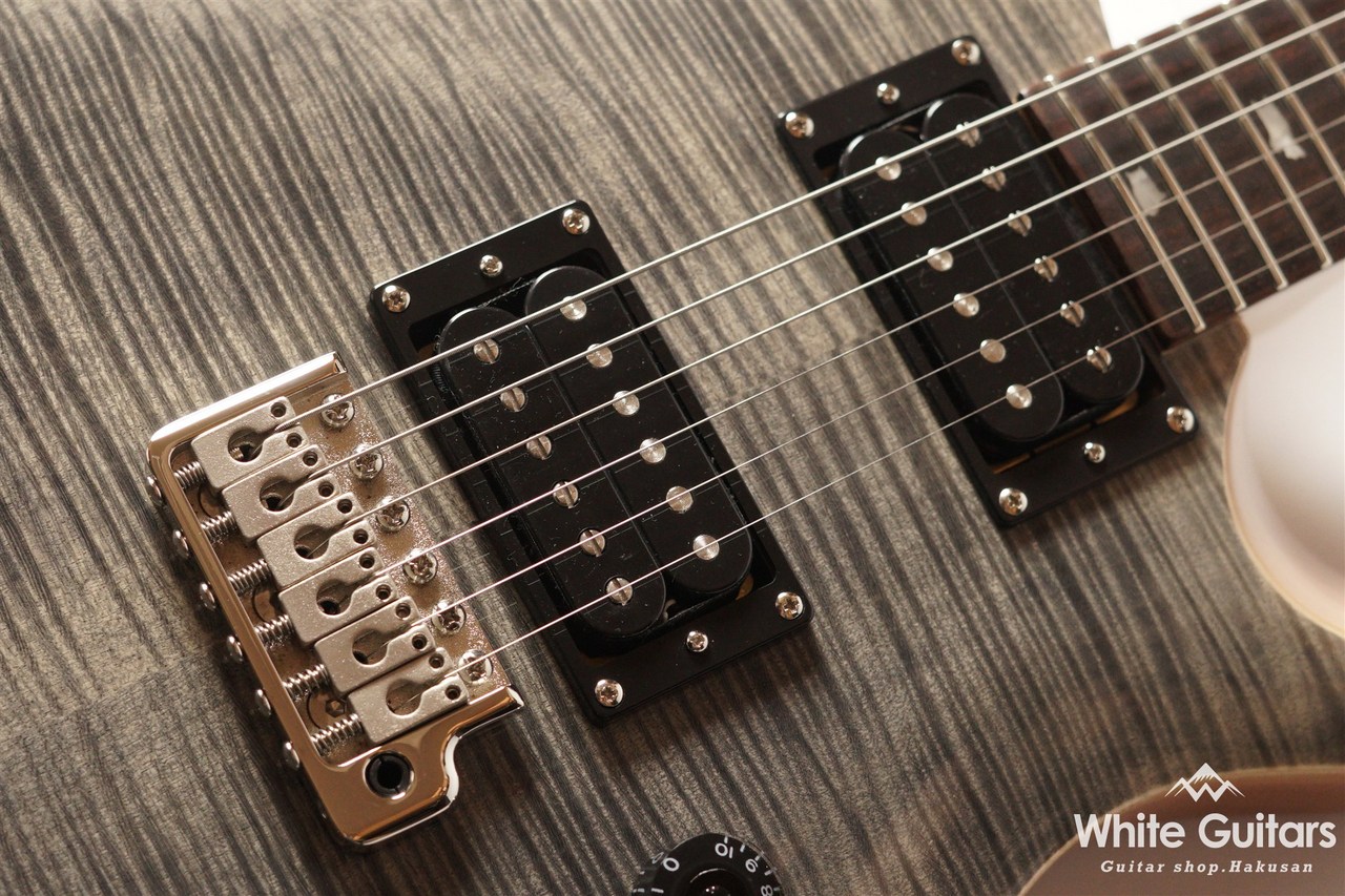 Paul Reed Smith(PRS) SE CUSTOM 24 - Charcoal（中古/送料無料