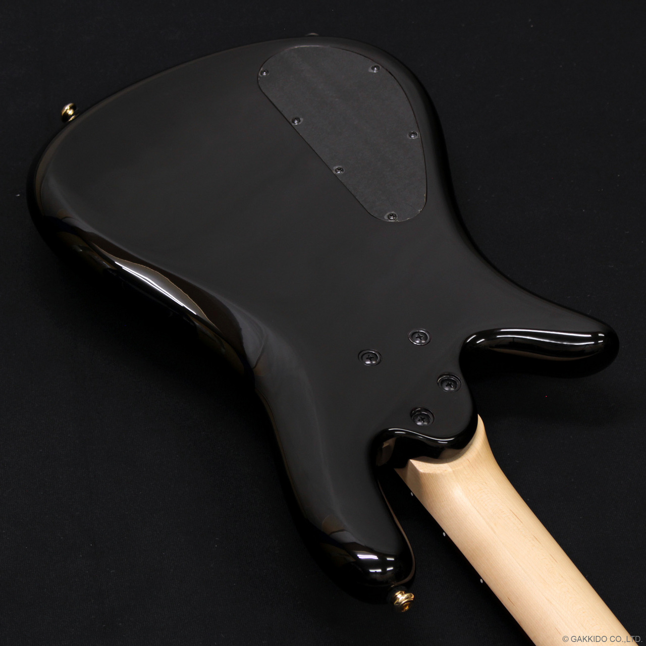 Spector Icon NS-2 Bolt-On [Black Cherry Burst]（新品/送料無料