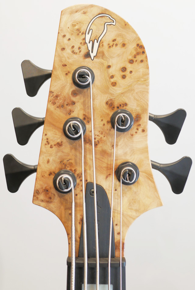 Lorita Basses Century 5 string Burled Elm Top（新品）【楽器