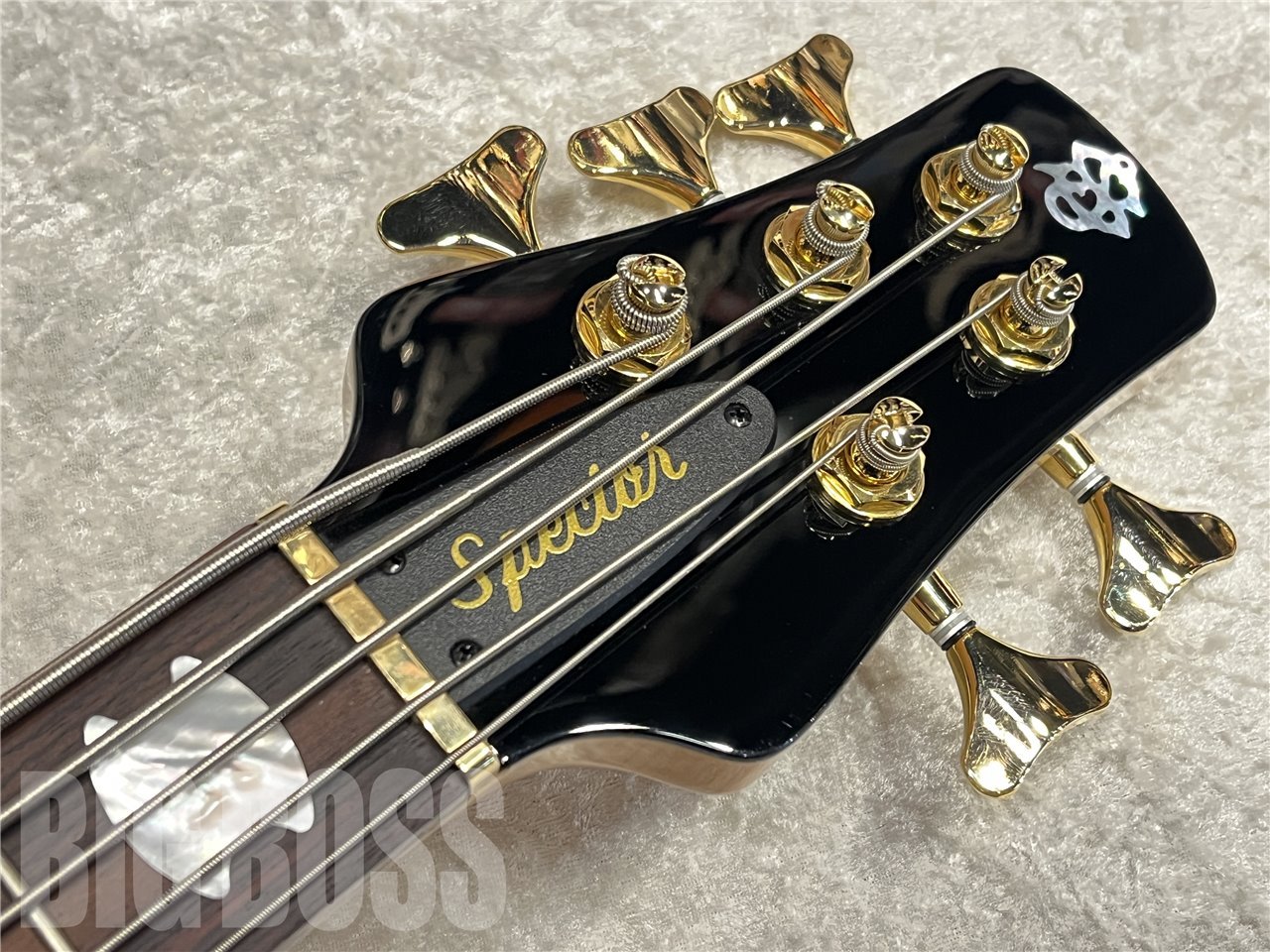 Spector Euro 5 LX Poplar Burl【Natural Gloss】（新品/送料
