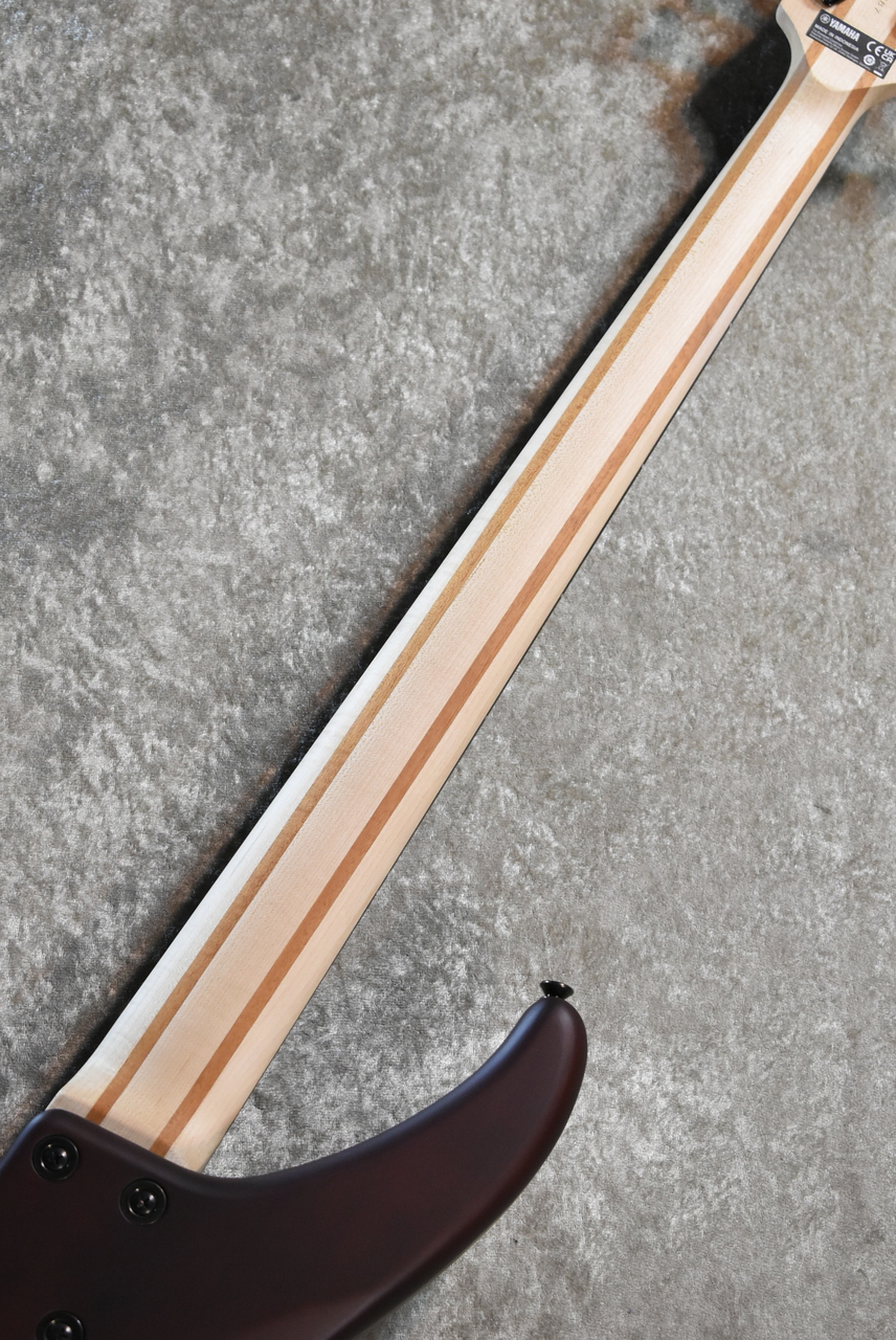 YAMAHA TRBX504 TBL -Translucent Brown- #IL L074187【 3.72kg