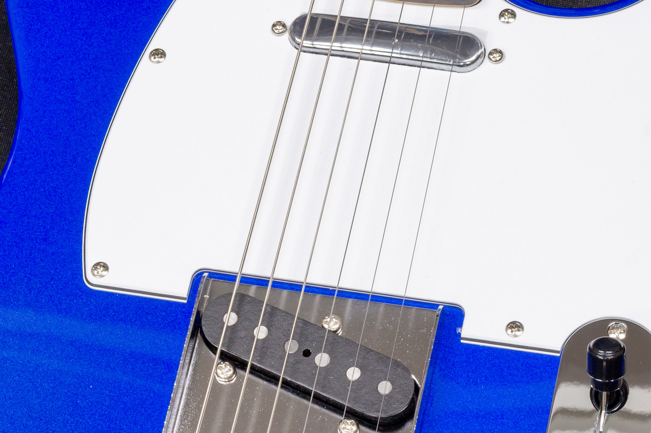 FUJIGEN(FGN) BCTE100RBD-MBL/01 C240281 3.33kg【TONIQ横浜
