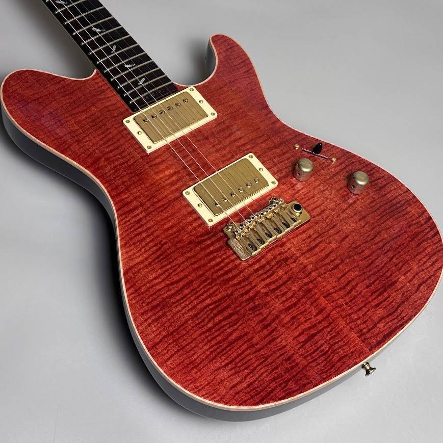 Sugi DS496IR FM/HM/F-MAHO2P Reddish Brown S/N:S260153（新品/送料