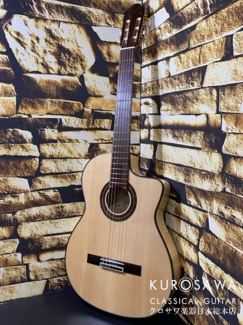 Aria アコースティックギター Fホール カッタウェイ ARIA アリア Model:A-112CWE カッタウェイ エレガット 松・メイプル
