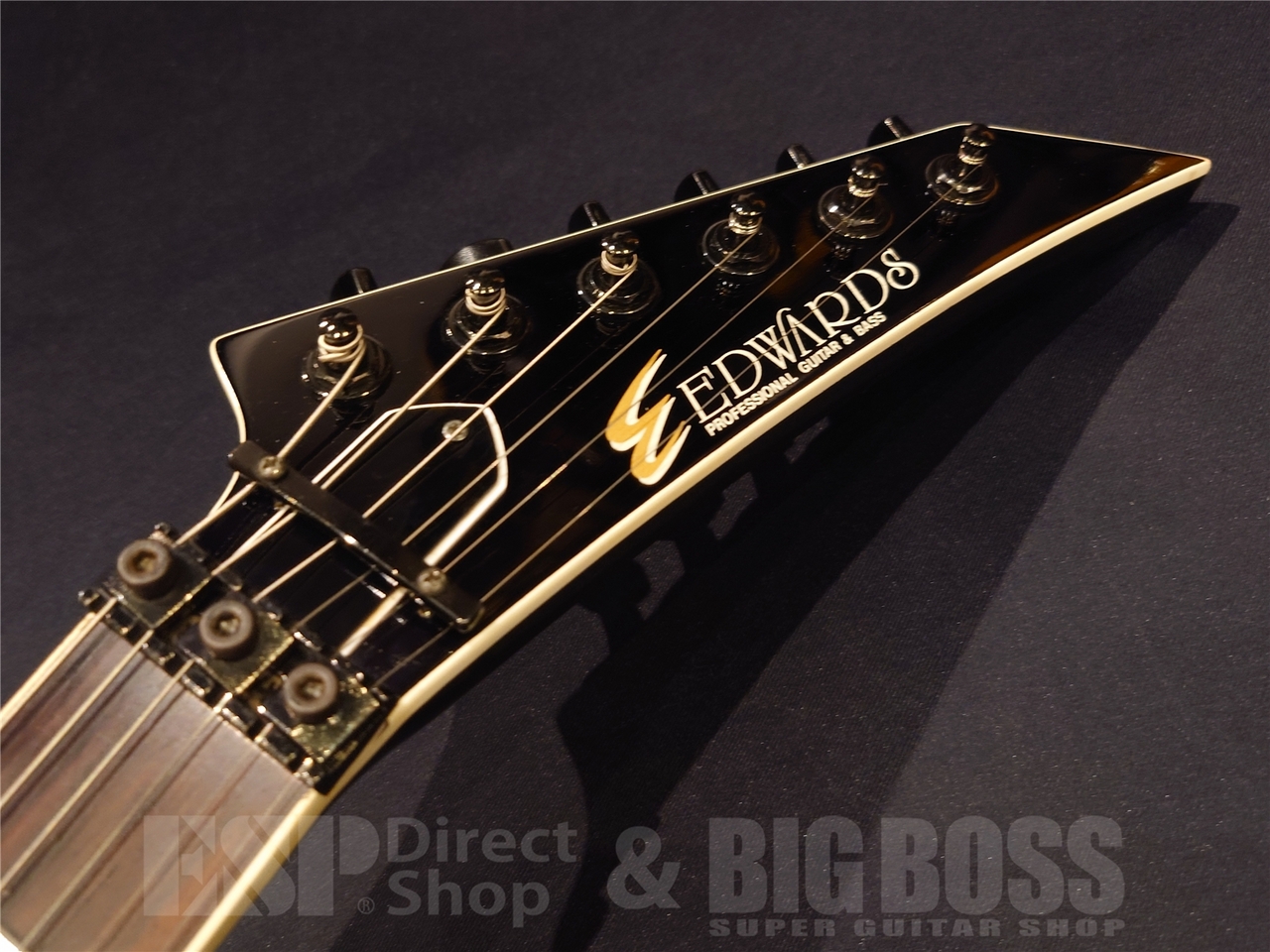 EDWARDS E-S-85HR SUGIZO ホライズン カスタム(改造多数)