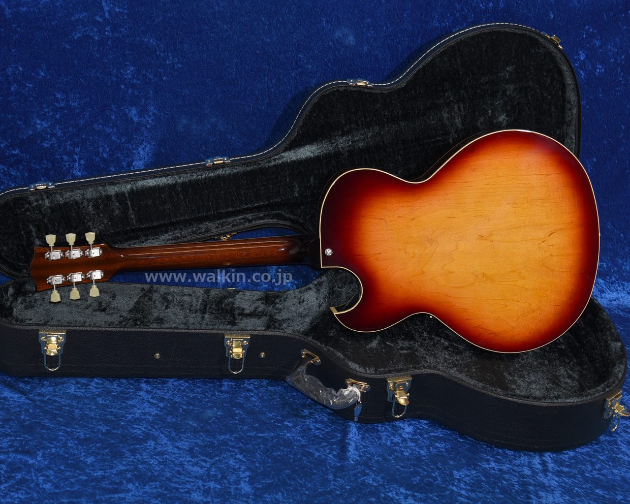 Archtop Tribute AT105M（新品）【楽器検索デジマート】