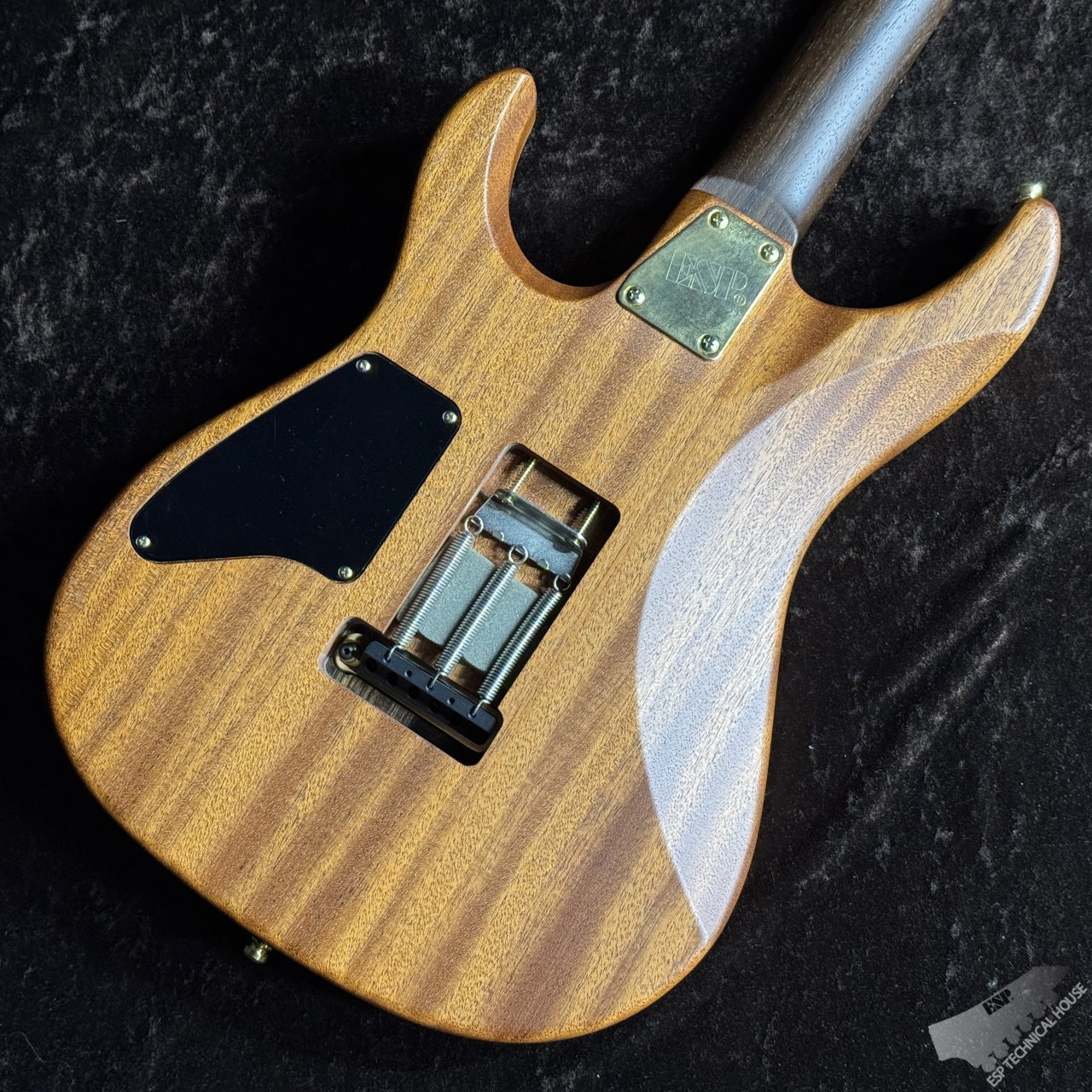 ギター ESP Custom Order Snapper ESP SNAPPER 7 - The ESP Guitar Company