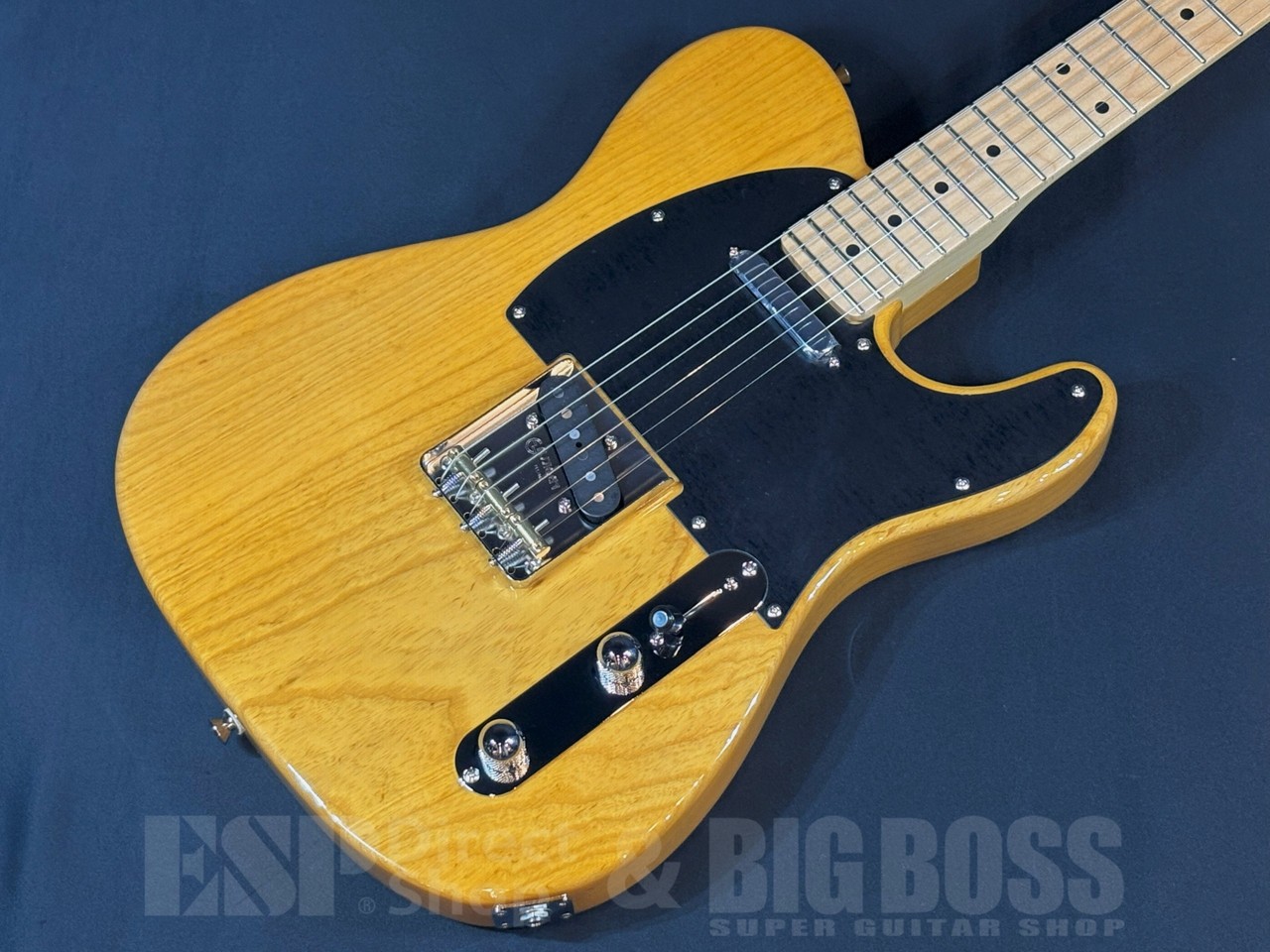 FUJIGEN(FGN) NTE100MAH-VNT（新品/送料無料）【楽器検索デジマート】