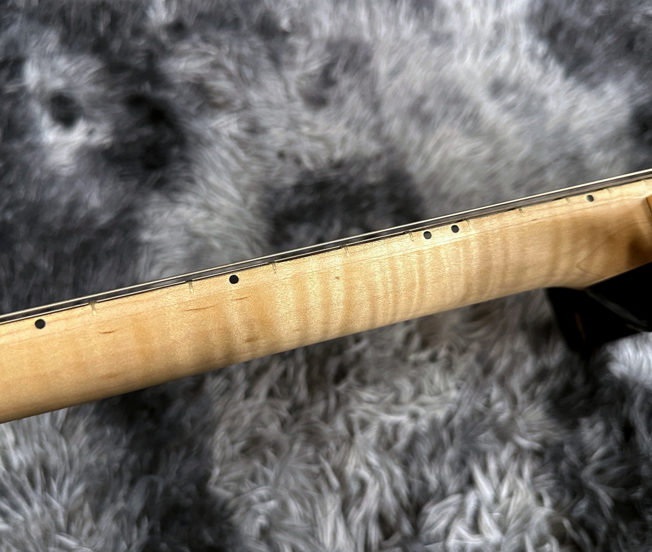 MUSIC MAN KID Limited Axis Trans Gold Quilt Mutching Head