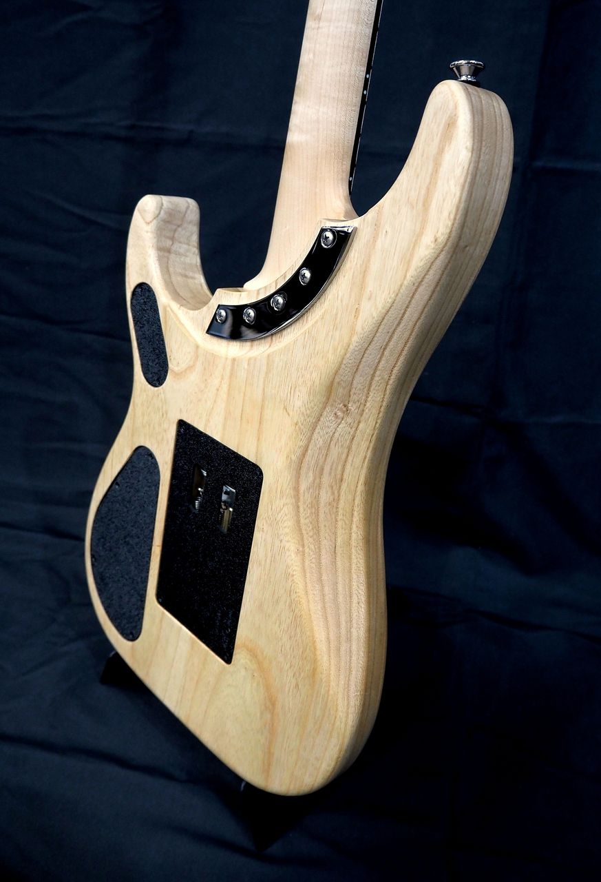 Washburn N4-NUNO SWAMP ASH USA（新品/送料無料）【楽器検索