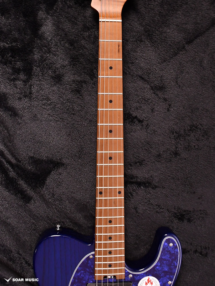 Bacchus Bacchus TACTICS-ASH/RSM STB (BLUE PG)シースルーブルー