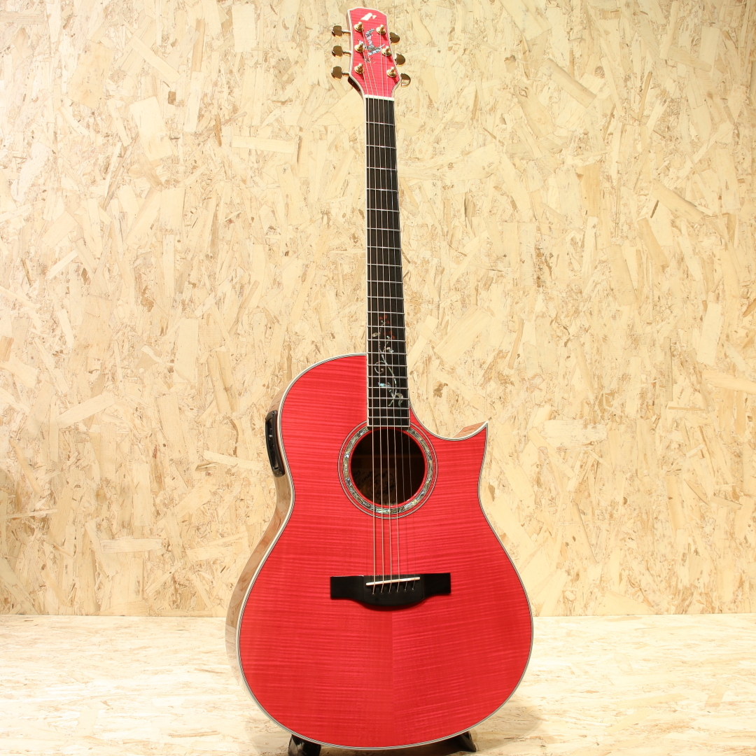 Morris TC-16 Custom 2023（中古）【楽器検索デジマート】