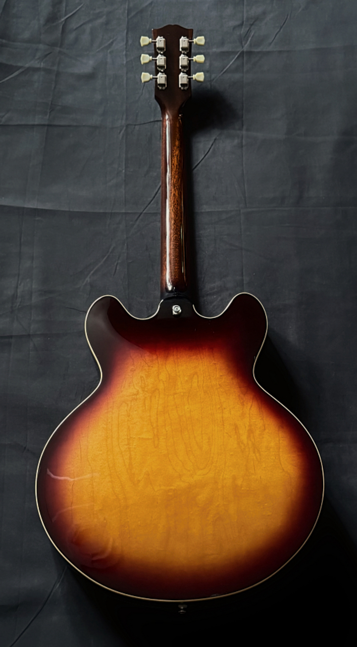 AT135STP セミアコ ギター Archtop Tribute AT135STP（新品）【楽器検索デジマート】