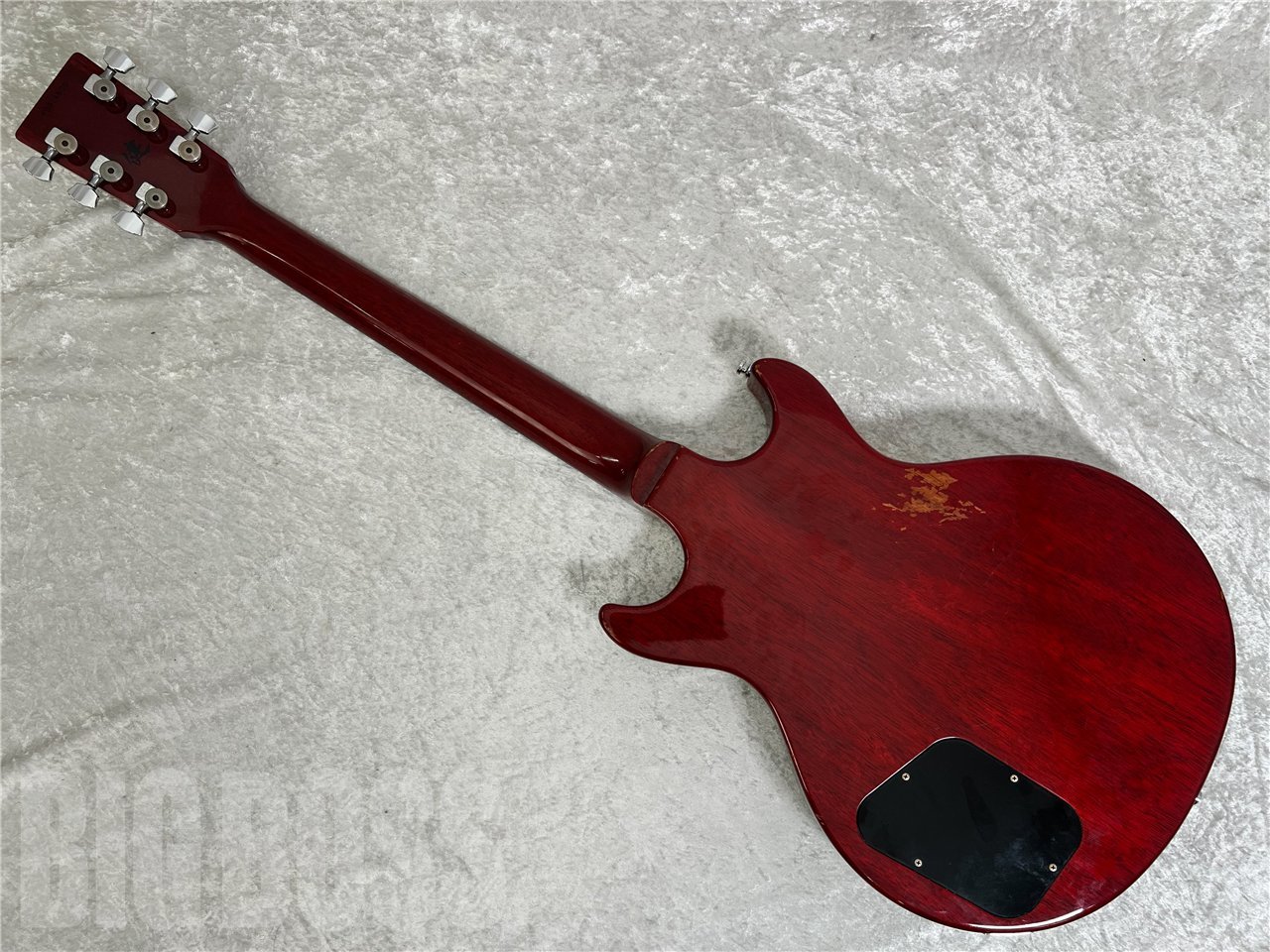 ESP 助六　イグアナ No.02 ESP 助六 | Ken Yokoyama(Band) OFFICIAL SITE