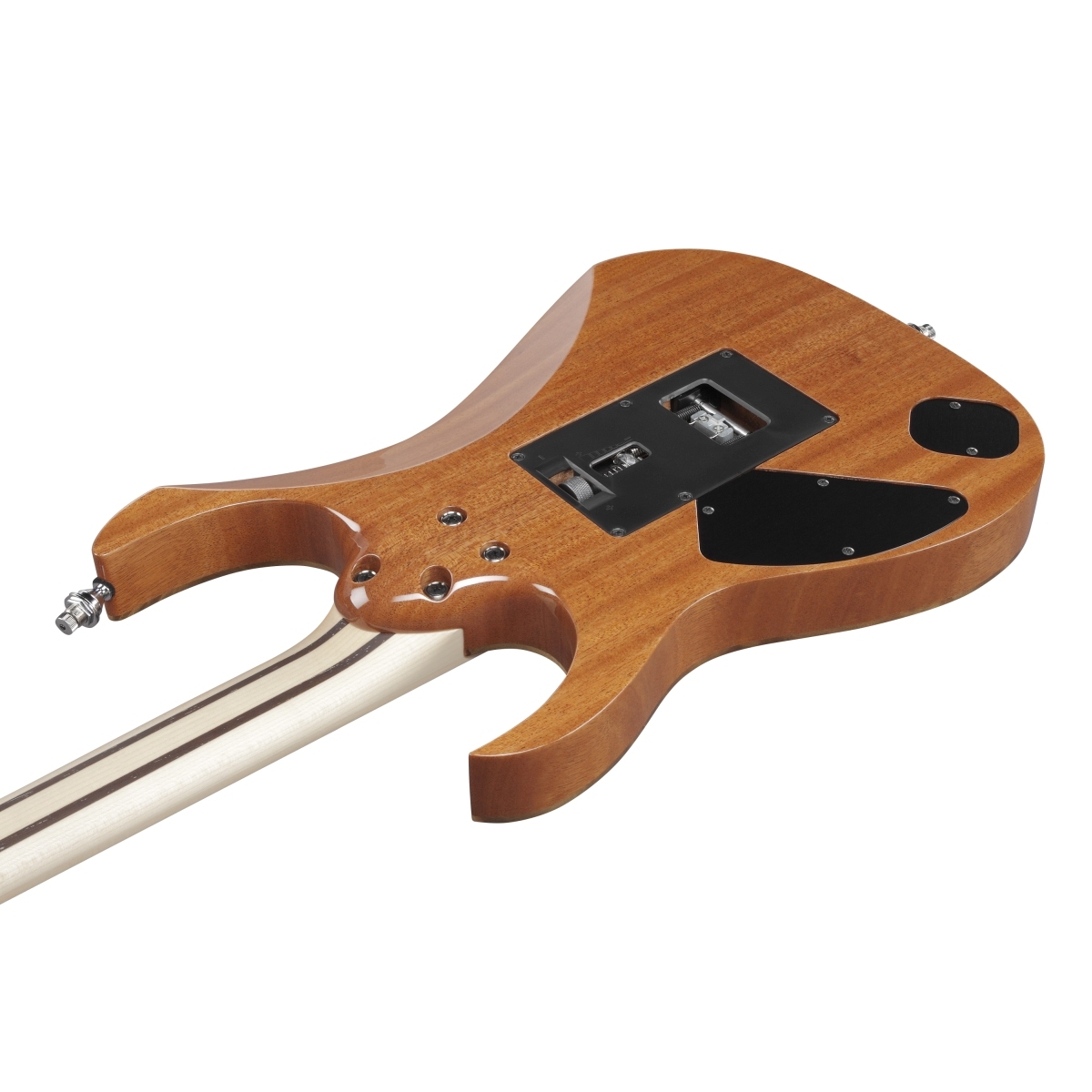 Ibanez RG8570ZME-NT (Natural) [国内8本限定モデル] アイバニーズ