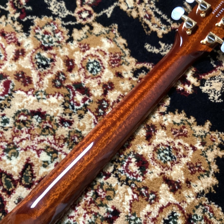 HISTORY NT-301/Ca（新品/送料無料）【楽器検索デジマート】