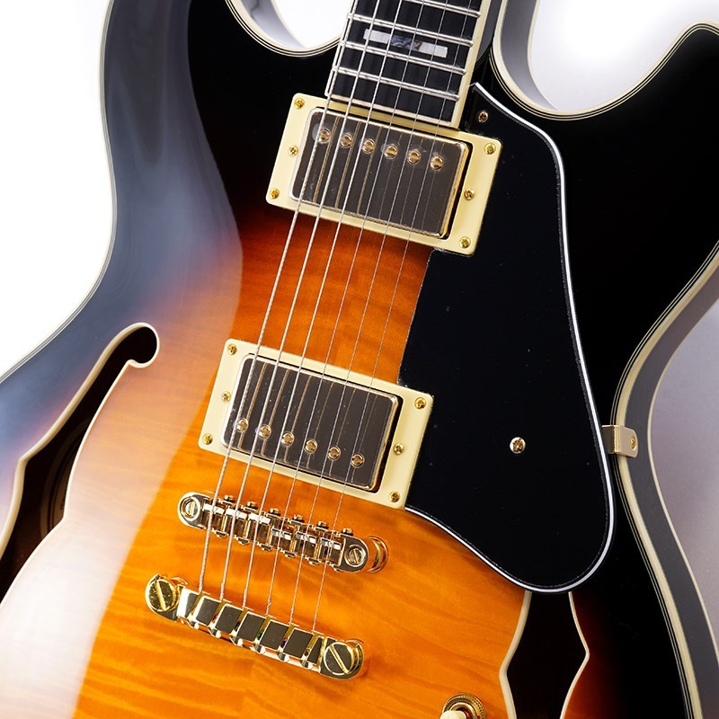 Ibanez JSM10-VYS [John Scofield Model]（新品）【楽器検索デジマート】