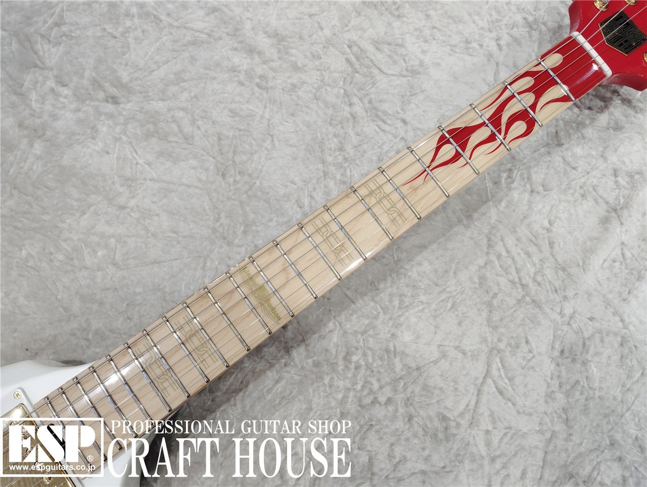 EDWARDS E-Flying Freiheit（新品/送料無料）【楽器検索デジマート】