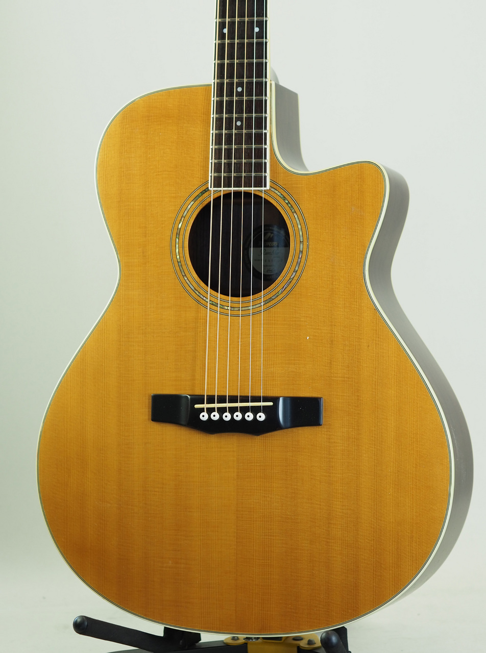 Morris RA800P (管理番号4983)（中古）【楽器検索デジマート】