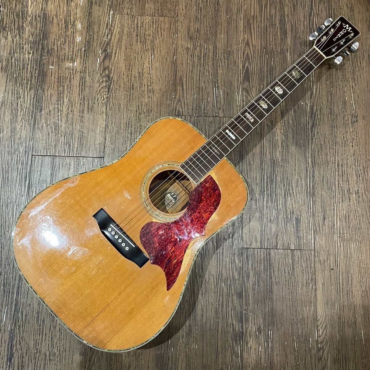 モーリス アコースティックギター S-50 SA-40 | 生産完了品 | MORRIS GUITARS モーリスギター