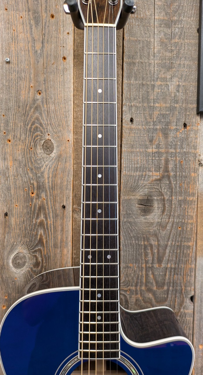 Morris R-14G SBU 【L.R.Baggs Element搭載】（新品）【楽器検索