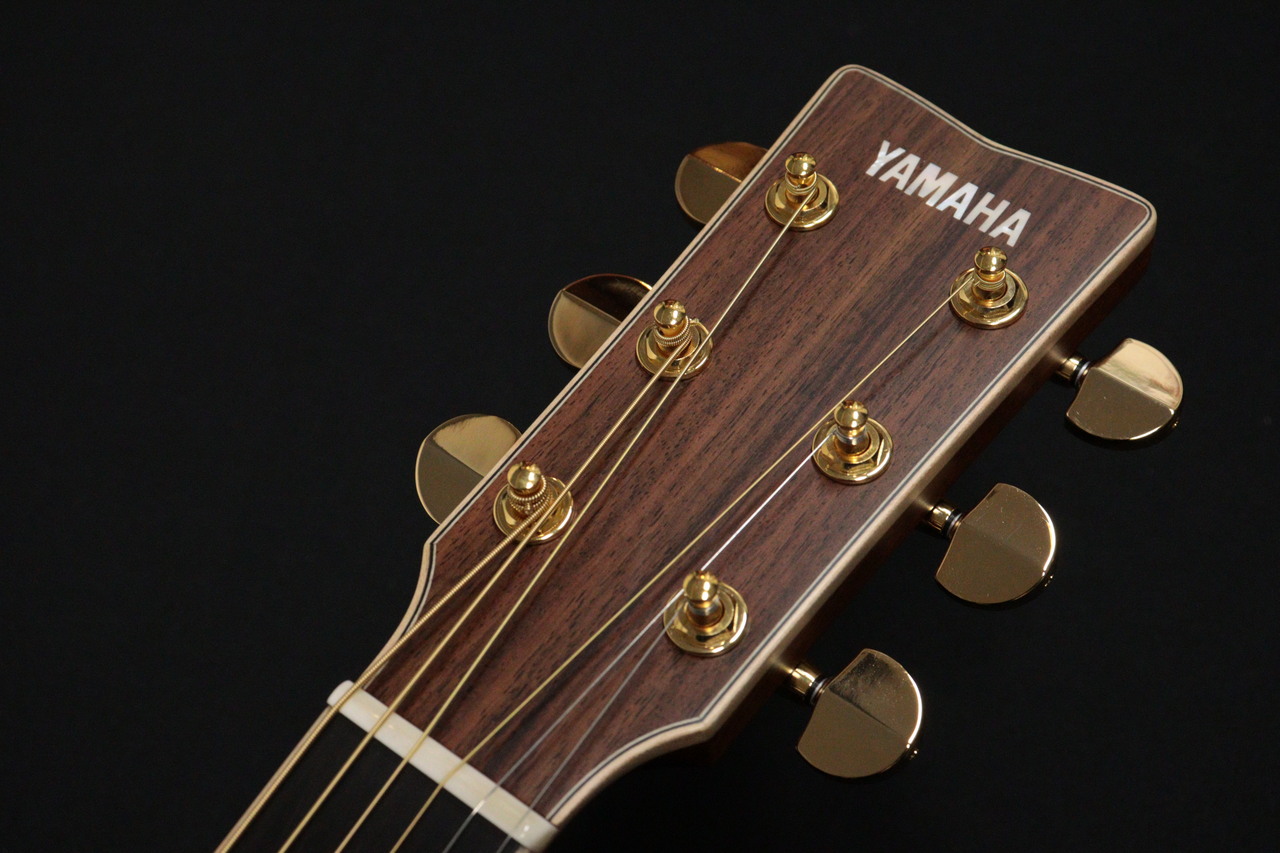 YAMAHA LLX36C ARE Natural 【現物画像・2025年製】（新品/送料無料