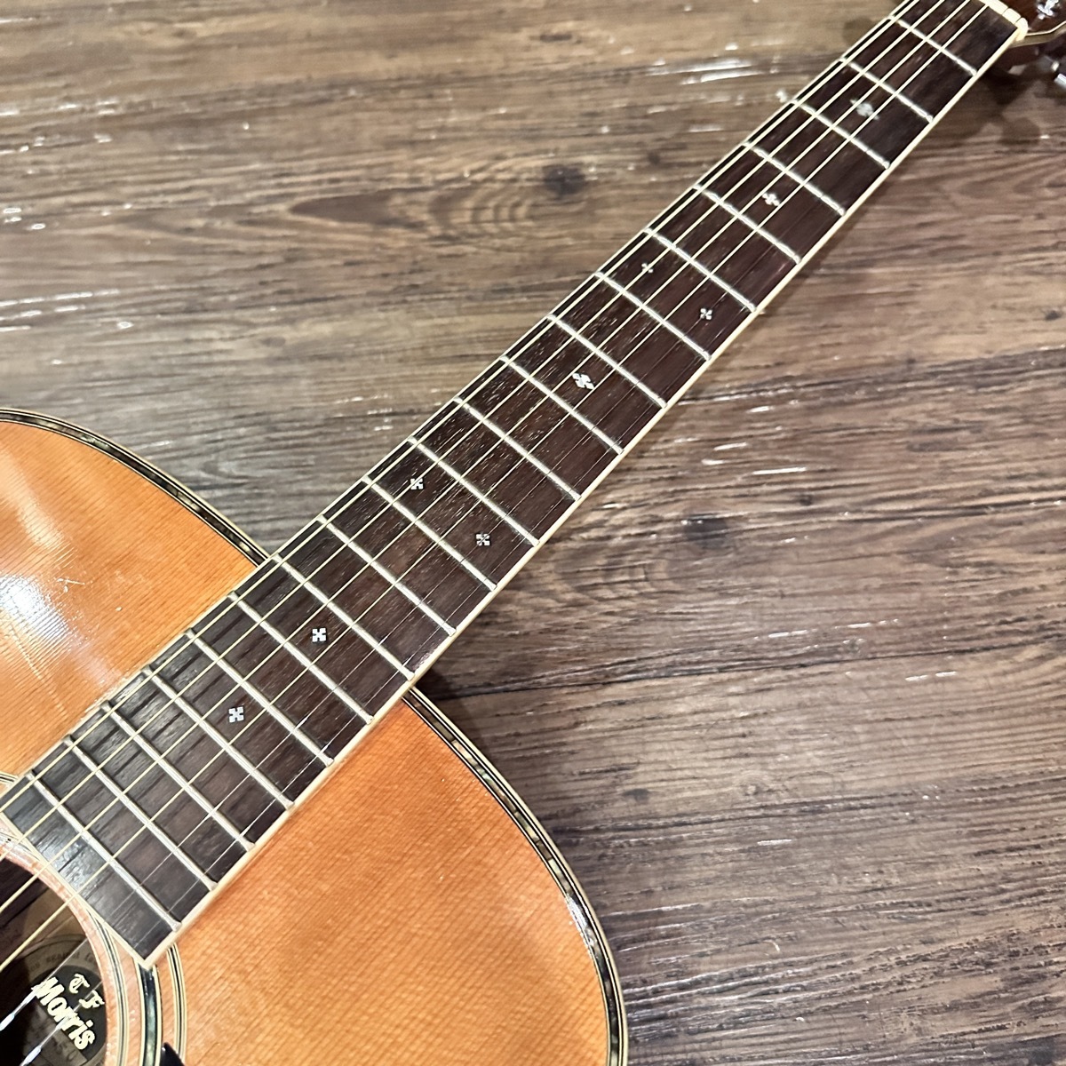 Morris W-50 TF Acoustic Guitar Made in Japan（中古/送料無料