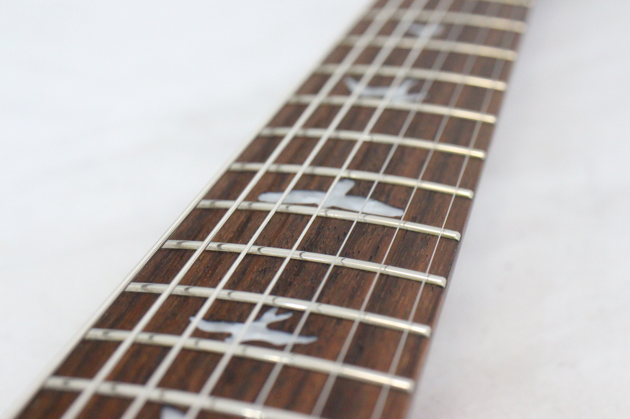 Paul Reed Smith(PRS) SE CUSTOM 24 7-STRING（中古）【楽器検索