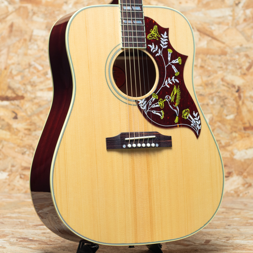 Gibson Hummingbird Original AN（新品）【楽器検索デジマート】