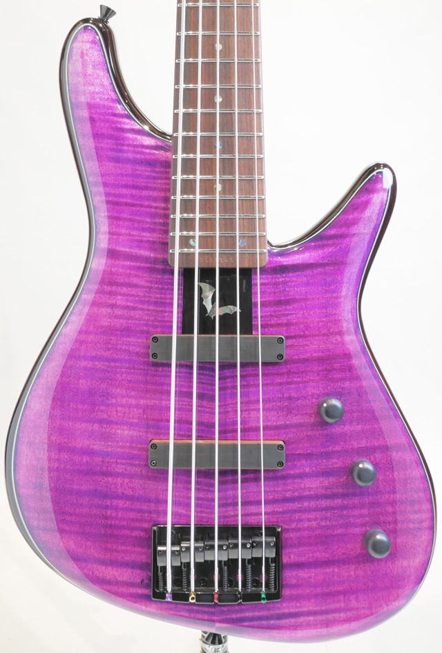 Sugi NB5IR FM / ASH / TRSP（新品）【楽器検索デジマート】