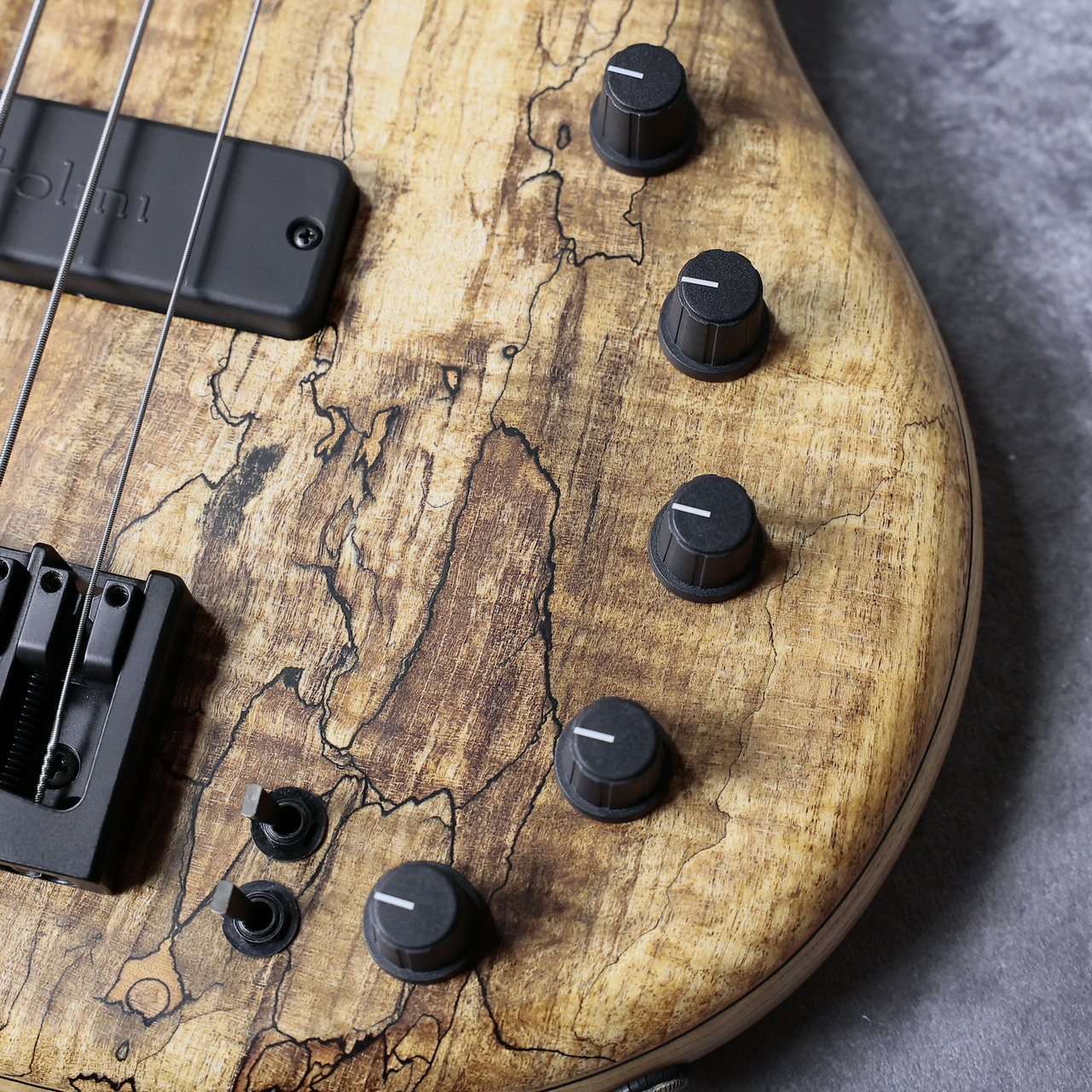 ジュエルオーキッド　マコデスペトラ　ブラック４株セット MT-OSAKAZAKURA'25/E Canal Deep BLU-VGR: エレキギター｜三木