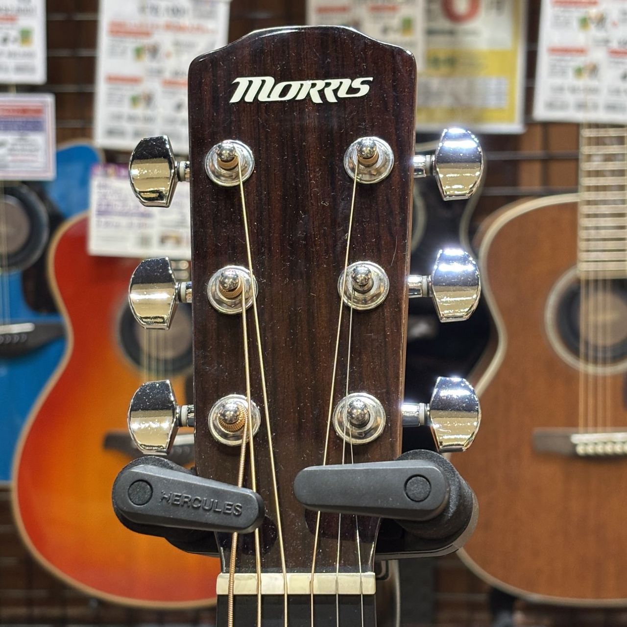 Morris F251【現物写真】（中古）【楽器検索デジマート】