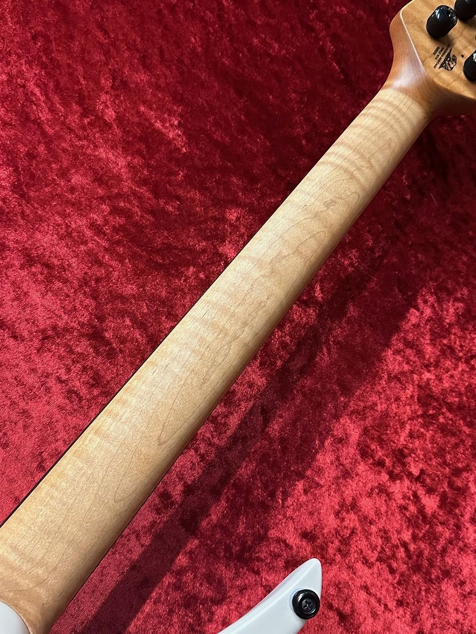 MUSIC MAN KAIZEN 6 Chalk White（新品特価/送料無料