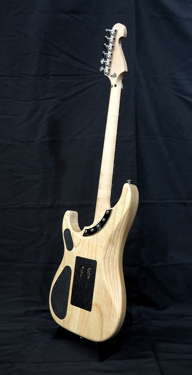 Washburn N4-NUNO SWAMP ASH USA（新品/送料無料）【楽器検索