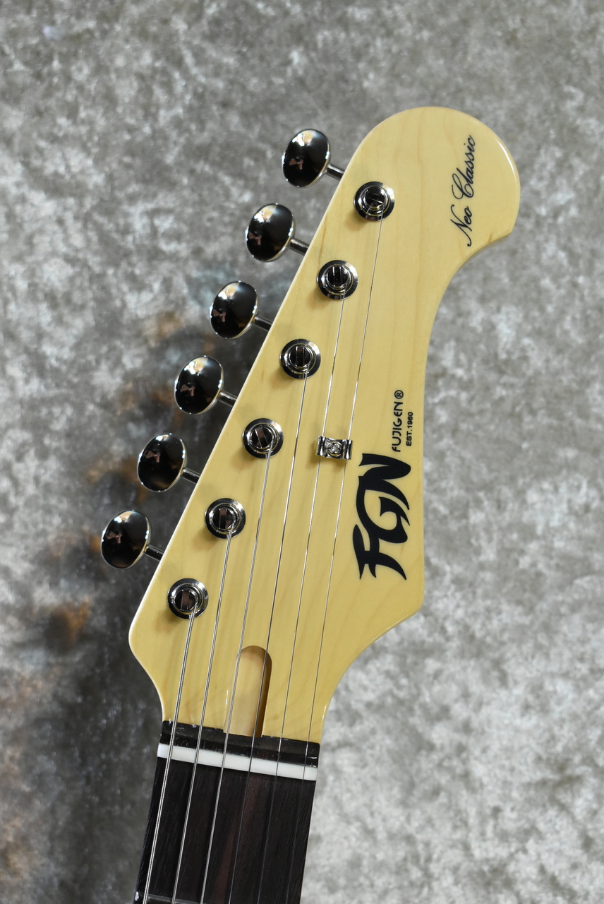 FUJIGEN(FGN) NTE100RAL Candy Apple Green #E250084【3.45kg