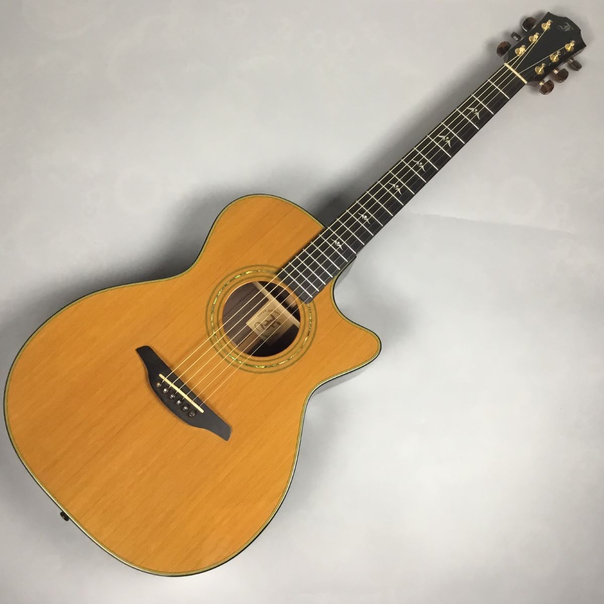 ギター フォルヒ OM23-CRCT - 楽器/器材