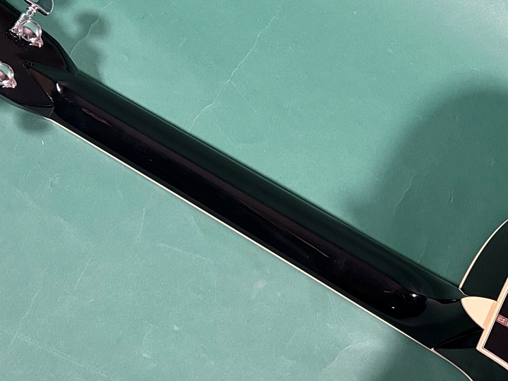 Martin CUSTOM GPC STYLE41 SUGIZO（中古）【楽器検索デジマート】