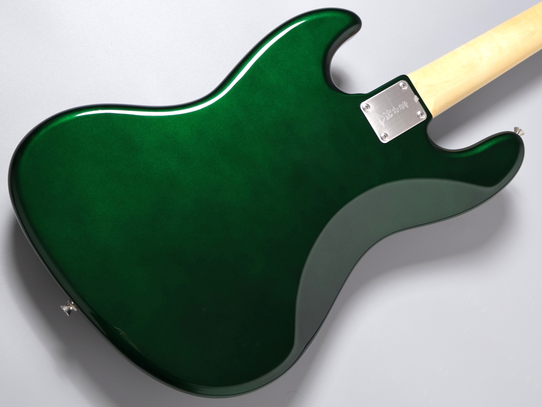 FUJIGEN(FGN) 【決算セール!!】NJB100RAL -Candy Apple Green-【4.20kg