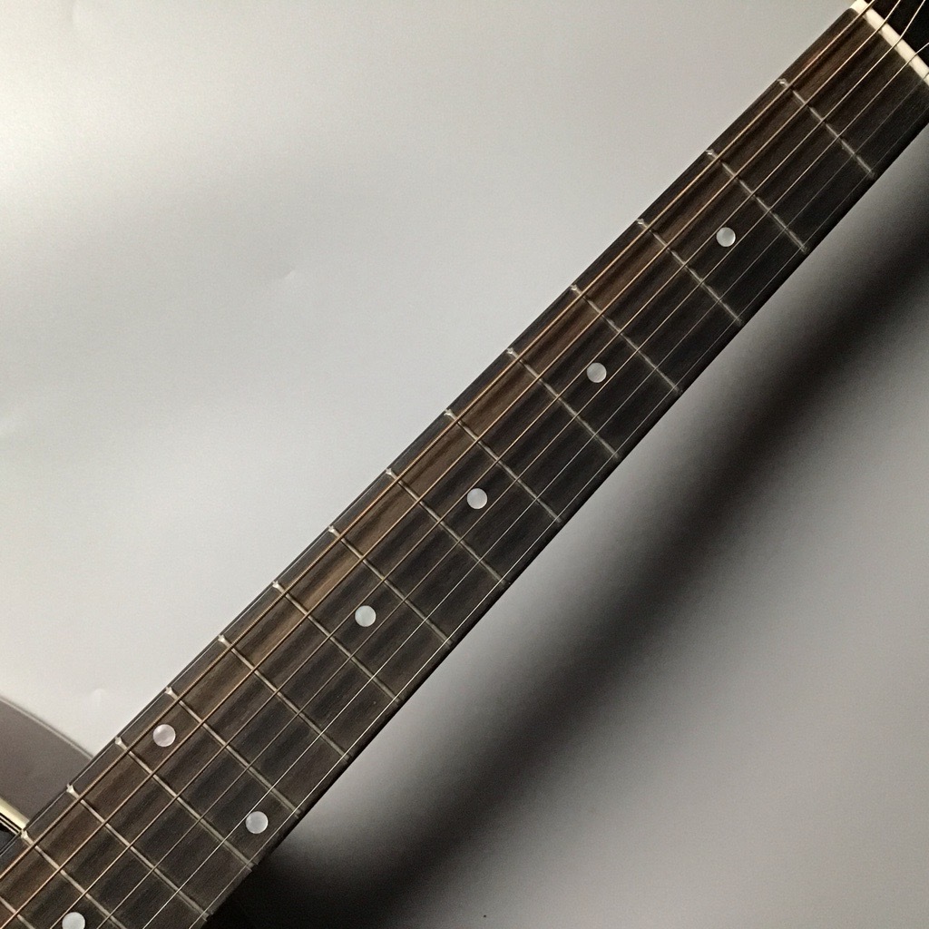 ギター Eastman E10-OOSS L-OO系アディロンダックスプルース】Eastman E10-OOSS-TC | あぽろん