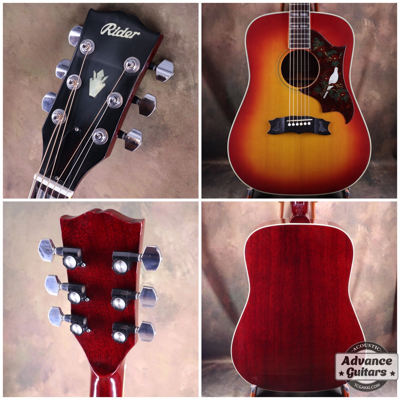 Rider 1975~1978年製 J -300（中古）【楽器検索デジマート】