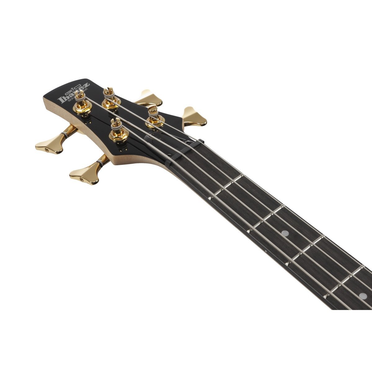 Ibanez Gio GSR200PC-TPB (Transparent Pale Black Burst