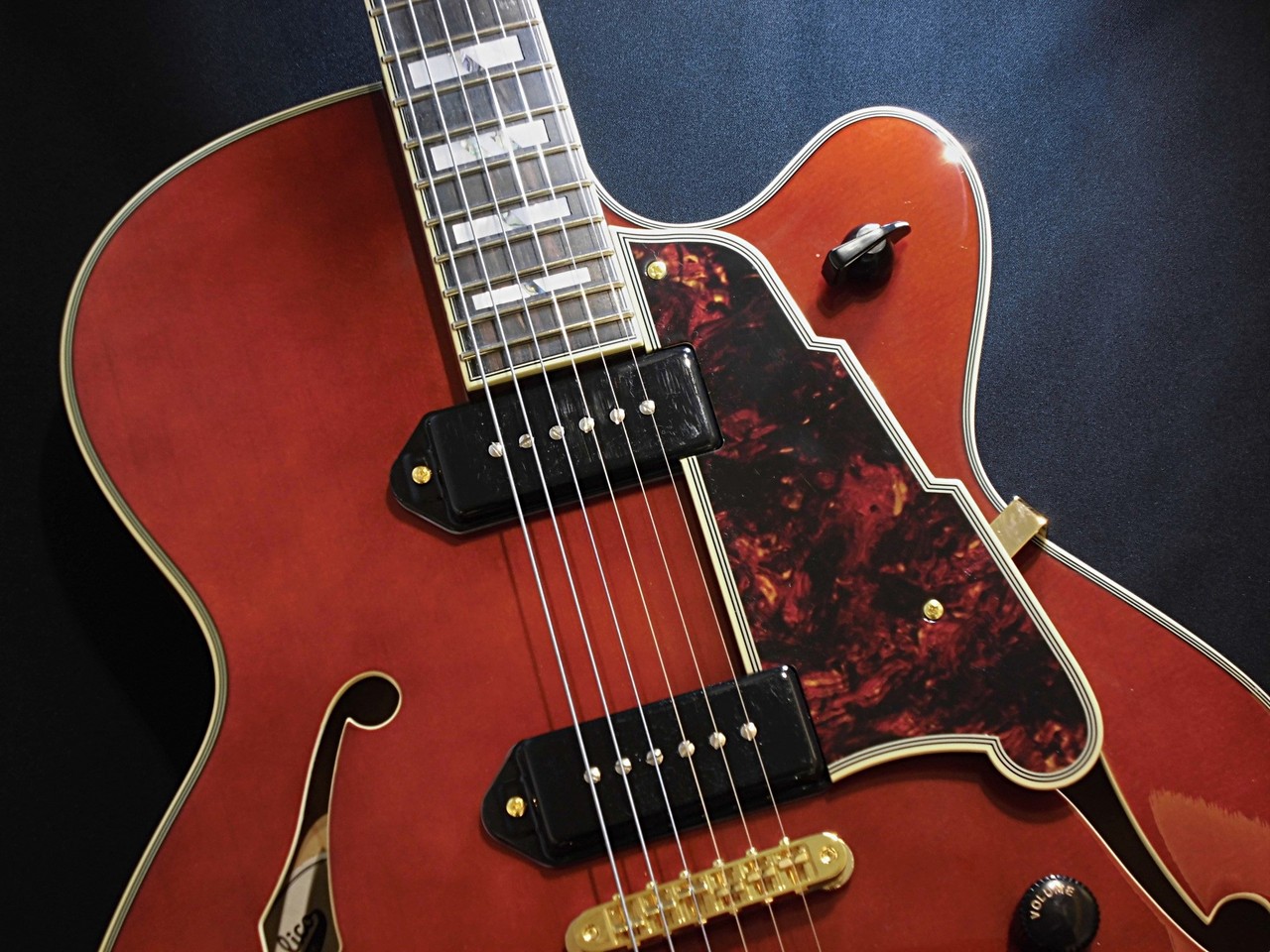 D'Angelico Excel 59 / Viola【アウトレット特価 !! 】（新品