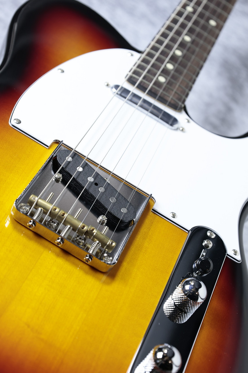 FUJIGEN(FGN) Basic Classic Series BCTE100RBD-3TS ~3 Tone