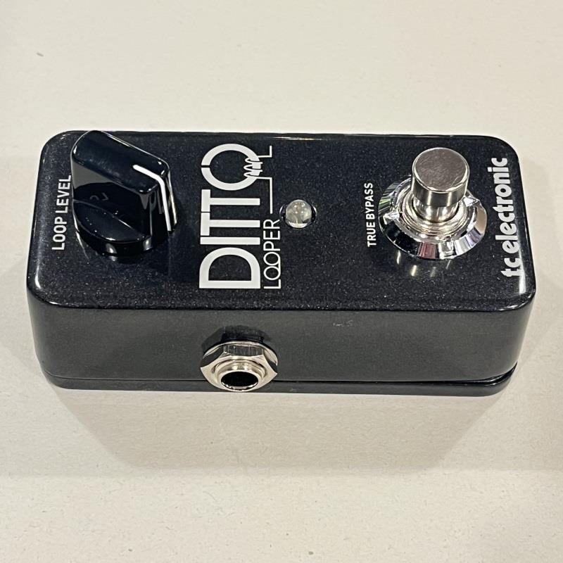 tc electronic DITTO LOOPER（中古） 中古】 TC ELECTRONIC / Ditto Looper 【渋谷店】 | イシバシ楽器